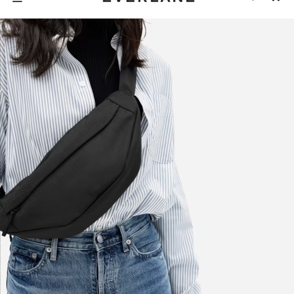 Everlane Transit Fanny Pack